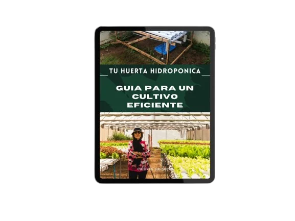Ebook mockup