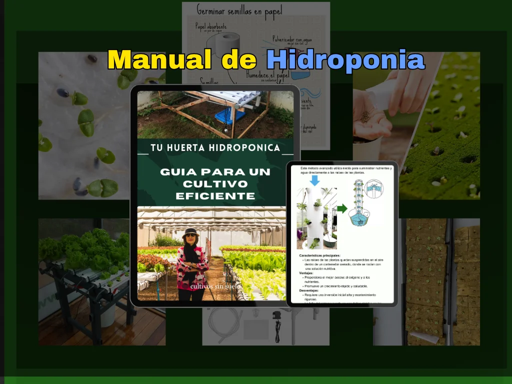 Hidroponia