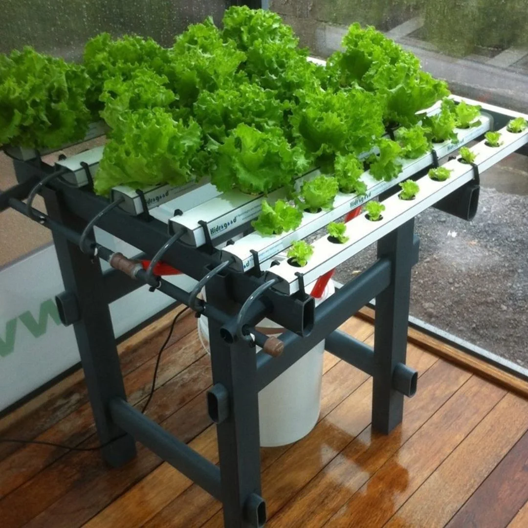 NFT